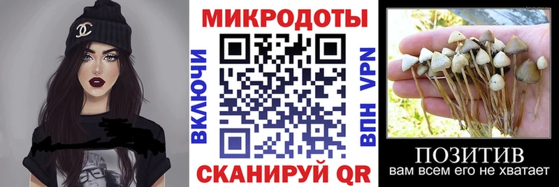 Галлюциногенные грибы Cubensis  Городище 